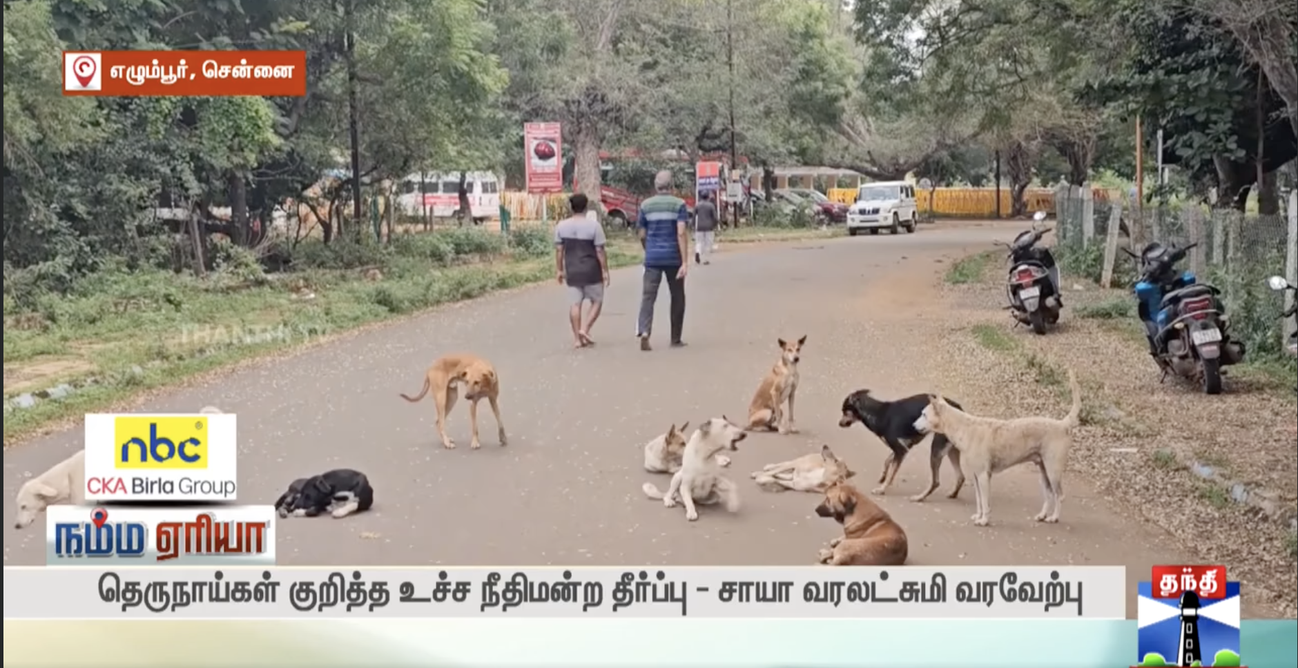 Facebook Video